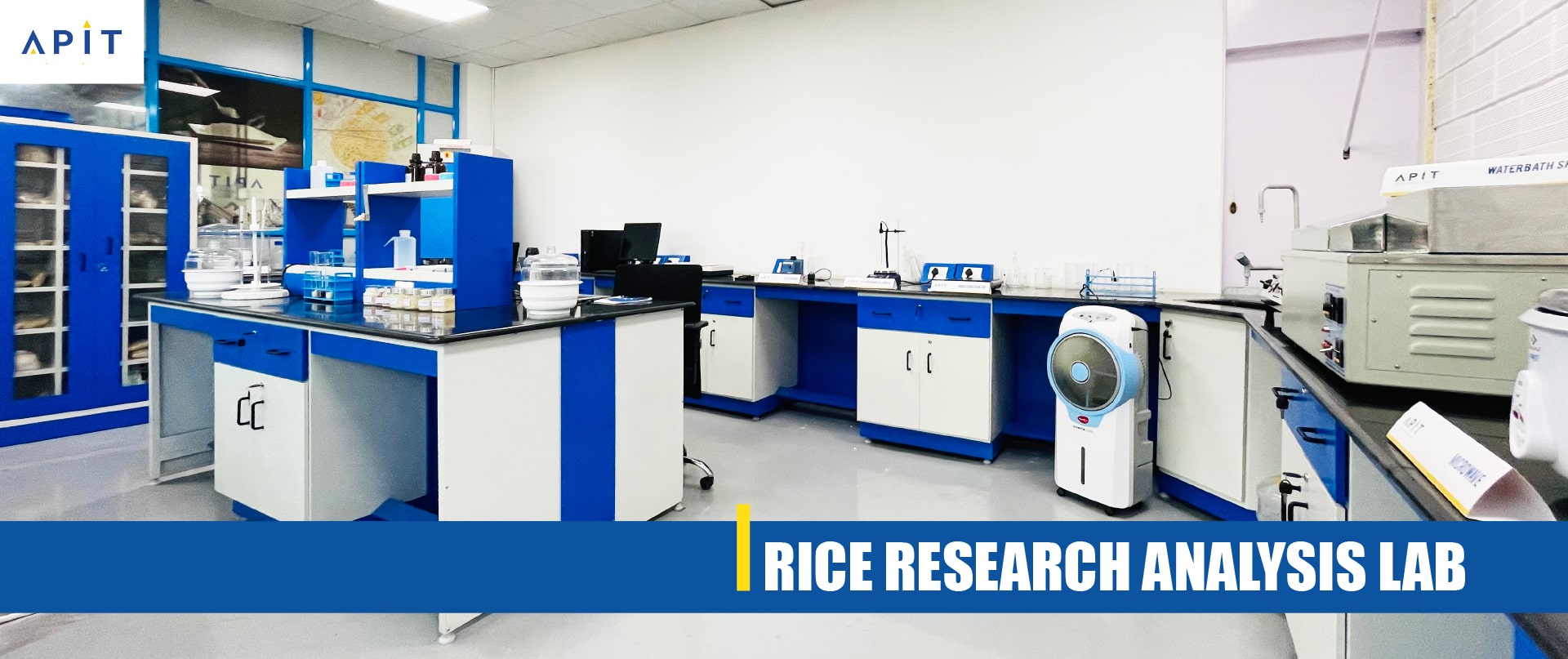 Rice Research & Analysis