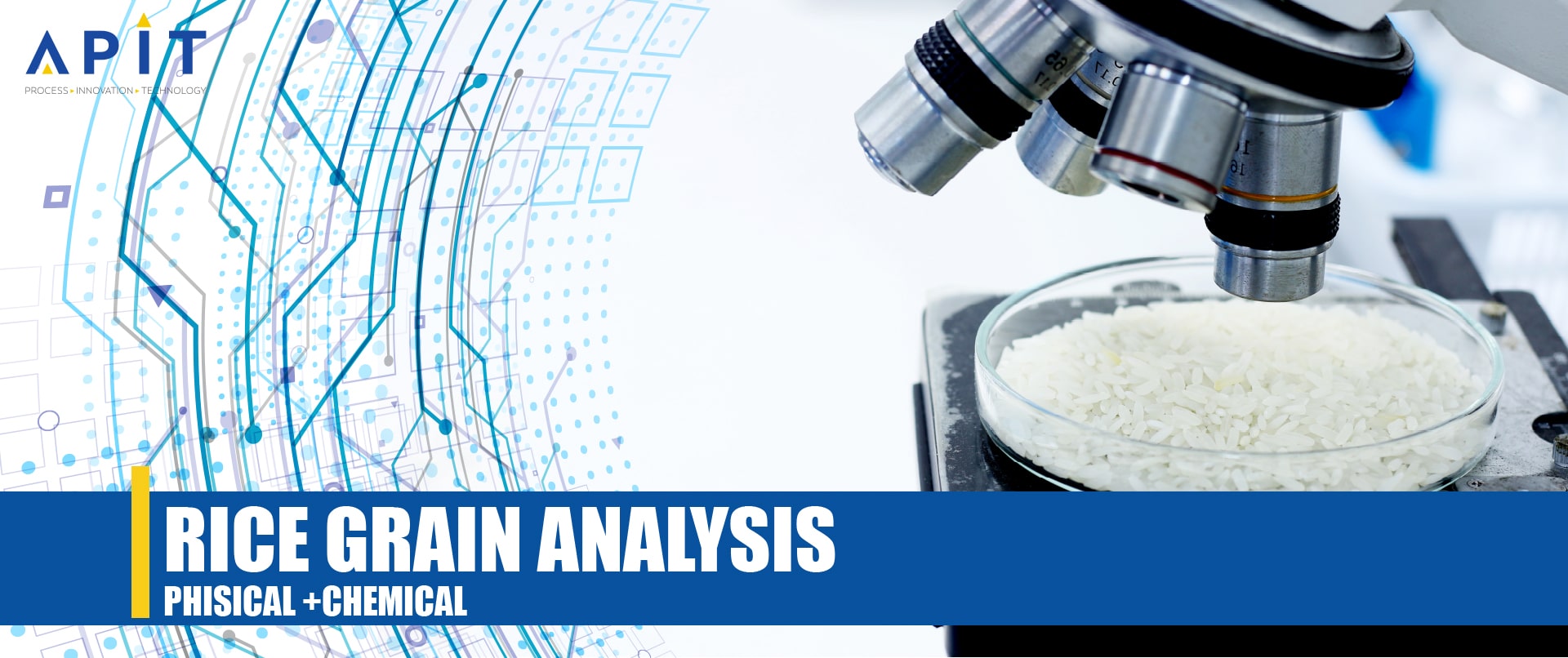 Rice Research & Analysis